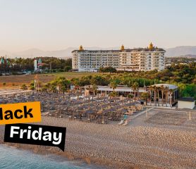 ASTERIA BLOOM SIDE (EX.HEAVEN BEACH)